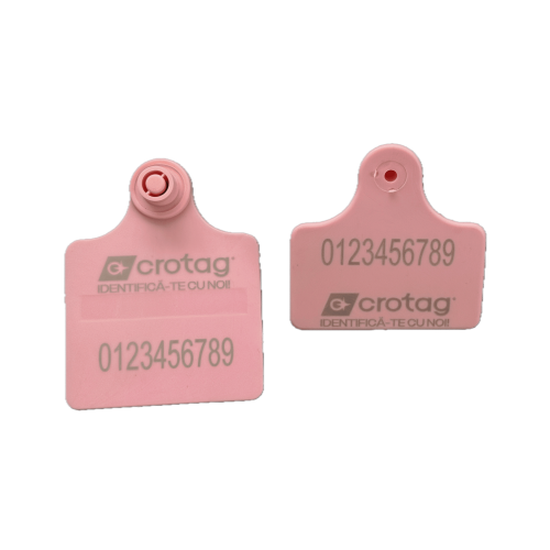 marcare interna bovine2